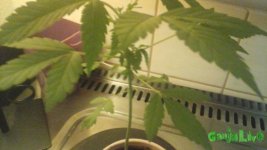 20150221_011125.jpg