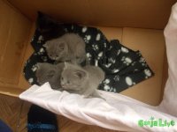 DSCN5906.JPG