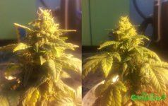 2015-02-22 14-09-20.JPG