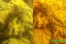 2015-02-22 15-05-08.JPG