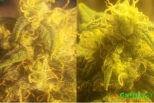 2015-02-22 15-05-23.JPG