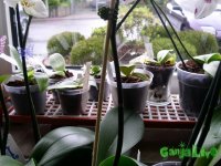 20100423202618_860.jpg