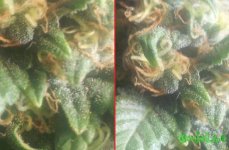 2015-02-28 18-34-28.jpg