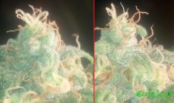 2015-02-28 18-35-46.jpg