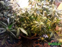 2015-02-28 19-04-02.jpg