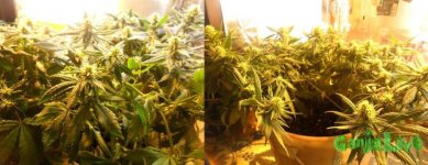 2015-02-28 19-04-07.jpg