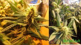 2015-02-28 19-04-10.jpg