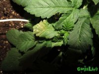 IMG_2844.JPG