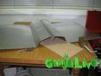 HPS-CFL_s06.jpg