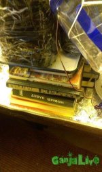 IMAG0334.jpg