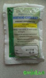 IMAG0356.jpg