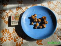 DSCN3296.JPG
