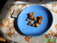 DSCN3297.JPG