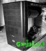 groubox4-274x300.jpg