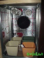 IMG_0992.jpg