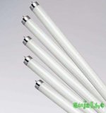 lyum-lampy-1.jpg
