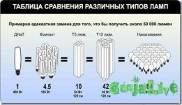post-5005-0-39070700-1364404889.jpg
