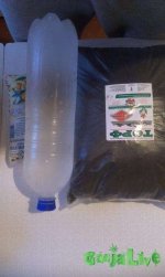 IMAG0369.jpg