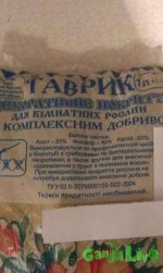 IMAG0371.jpg