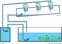 2222.png