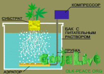 post-5005-0-52429500-1364399650.gif