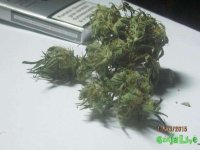 IMG_7127.JPG