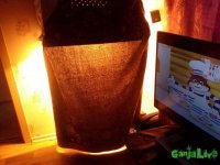 CAM00794.jpg