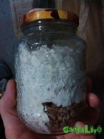 IMG_20150315_000306.jpg