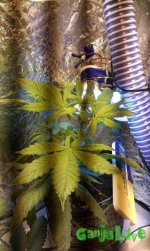 IMAG0429.jpg