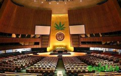 unitednations-marijuanareform.jpg