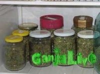 загружено.jpg