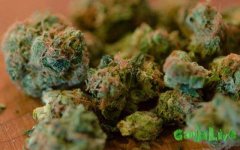 marihuana.jpg