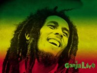 1368538489_530x0-4edb-bob-marley-1.jpeg 1368538489_530x0-4edb-bob-marley-1.jpeg