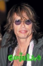1369752381_217x328-1a70-steven-tyler-lost-two-teeth-after-a-serious-fall-in-his-hotel-shower-i...jpg 1369752381_217x328-1a70-steven-tyler-lost-two-teeth-after-a-serious-fall-in-his-hotel-shower-i...jpg