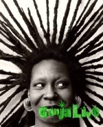 1369752411_282x360-8f72-whoopi-goldberg-starhair.jpg 1369752411_282x360-8f72-whoopi-goldberg-starhair.jpg