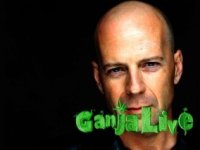 1370791958_284x213-ef0b-bruce-willis.jpg 1370791958_284x213-ef0b-bruce-willis.jpg