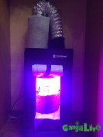 IMG_1177.jpg