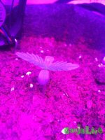 IMG_1182.jpg