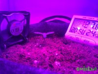 IMG_1184.JPG
