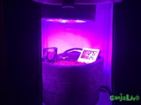 IMG_1187.JPG