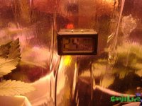 DSC04309.JPG