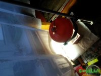 20150331_193217.jpg