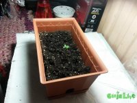20150331_193316.jpg