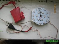 IMG_4989.JPG