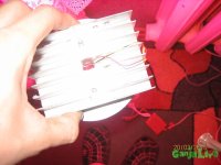IMG_4994.JPG
