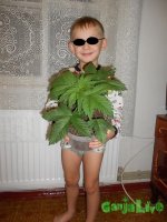 DSCN0121.JPG