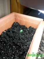 20150404_183527.jpg
