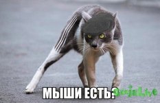 getImage.jpg