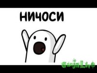 hqdefault.jpg