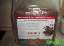 кокос.jpg